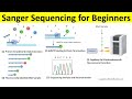 Sanger Sequencing Concepts and Applications