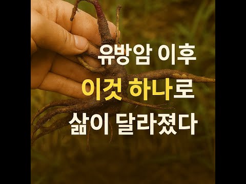 유방암, 이 뿌리 하나가 내 인생을 바꿨다