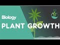 Plant Growth and Hormones Concepts