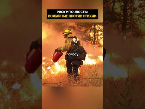 Работа пожарных — это не только борьба с огнём, но и невероятная смелость