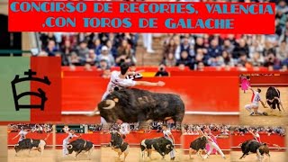 Valencia, 14•03•26, Concurso de recortes con toros de F. Galache
