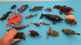 Fun Sea Animal Toys & Ocean Play for Kids! 🐠🌊 (Megan's World)