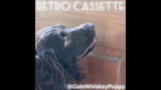 Retro Cassette