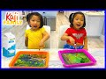 Milk and Food Coloring Experiment