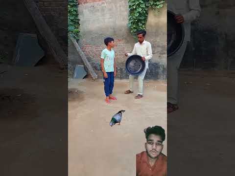 Introducing the "VitaWear SmartBand," a next-generation wearable gadget๐