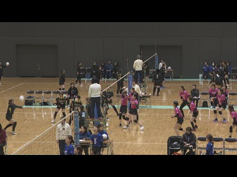 岡山市でウィメンズバレーボール大会　コロナ禍明け以降で最多の約600人が出場