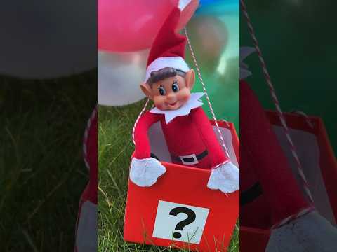 Elves Behavin Badly Finally go Home #holidayswithshorts