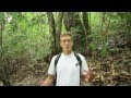 Barro Colorado Island Research Insights