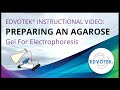 Agarose Gel Preparation Techniques