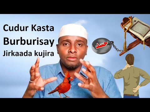 Cudur Kasta jirkaada kujira wu Gubanaya Adoo Arkaya Hadaad ku Akhriso intaan Arimo cajiiba Halkaan