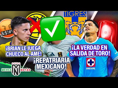 Brian LE JUEGA CHUECO al Ame😤| Tigres REPATRIARÍA mexicano💰|La VERDAD en SALIDA de Toro Fernández