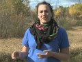 Junction Creek Project Impact and Efforts