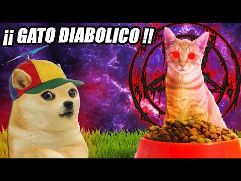 ESCAPANDO DEL GATO DEL INFIERNO A LAS 3 DE LA MAÑANA 🫣🔥| SRCHEEMS