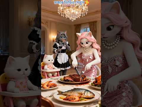 মালিকের কাজ দেখে খুশি হলেন গরীব 🥰#cat