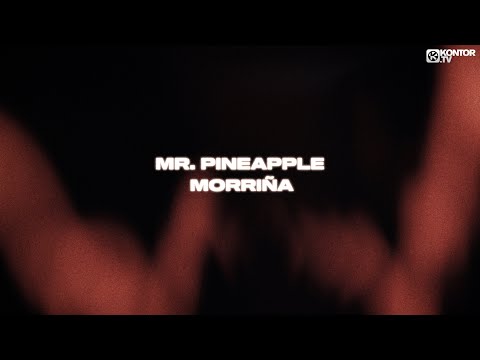 Mister Pineapple - Morriña