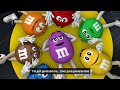 Understanding the Purple M&M's Journey