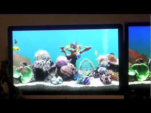 key product for marine aquarium 3 3.0