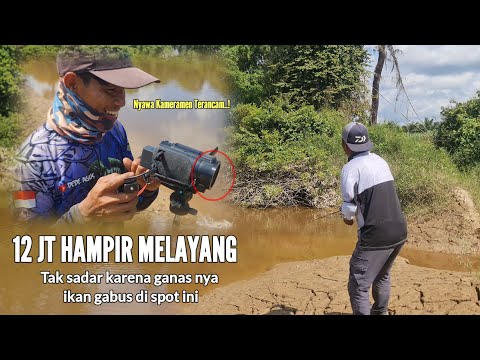 SPOT DALAM HUTAN MEMANG TIADA DUA NYA..! BEGITU BANYAK IKAN GABUS HAMPIR TIAP LEMPAR DI SAMBAR IKAN