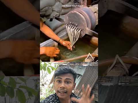 দেখুন প্লাস্টিক দিয়ে চাল কিভাবে বানানো হয় 😲#sortvideo #facts
