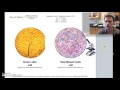 Microscope Measurements and Calculations