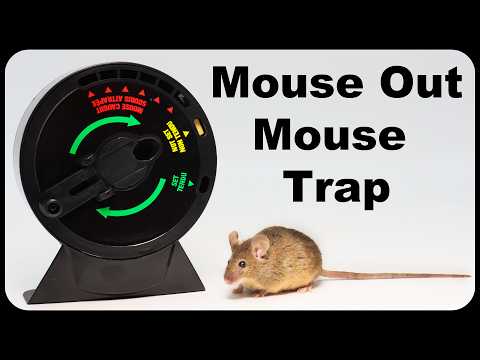 Dizzy Dunker - The World's Greatest Mouse Trap. Mousetrap Monday