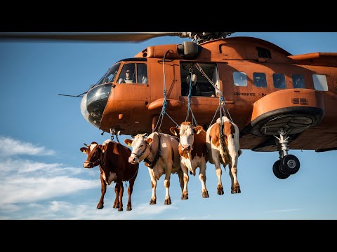 Explorando as Fazendas de Alta Tecnologia da Austrália: O Futuro da Agricultura !