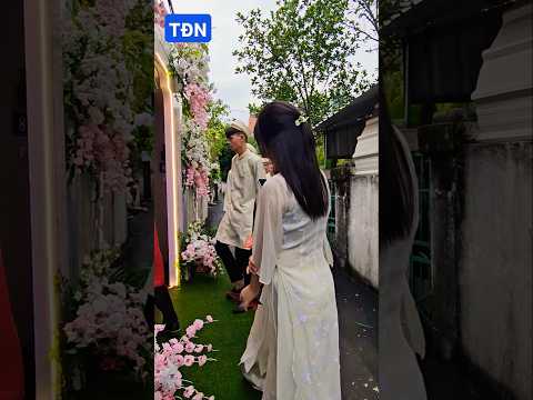 Đào cây thì thuê thợ, đám hỏi thì thuê người bưng lễ 🤬🤬👺👺🥵👹🤩 #tamdaonui