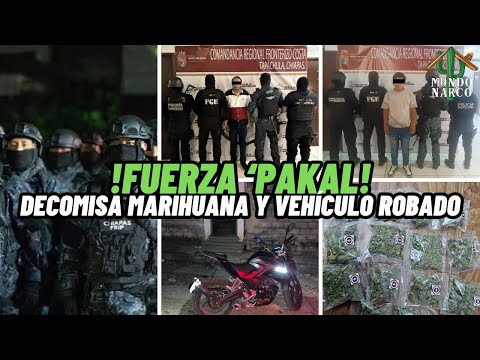 "¡Se Estrena Fuerza ‘Pakal’ de Chiapas! Decomisan Marihuana y Vehículo Robado"