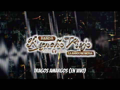 La Bandononona Rancho Viejo de Julio Aramburo - Tragos Amargos (En Vivo / Visualizer)