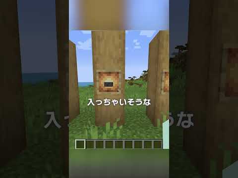 謎すぎるマインクラフトのヤバいミス!?【マイクラ豆知識 解説 裏技】