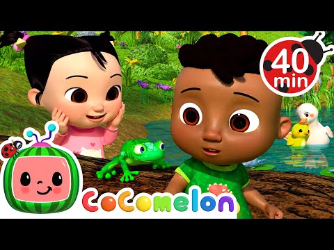 Cody and Cece's Nature Discovery | CoComelon - It's Cody Time | Songs for Kids & Nursery Rhymes
