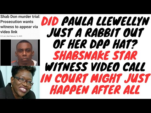 Shabdon Trial Gets Interesting As The DPP Applies To Get The Star Witness Testify Via Video Link