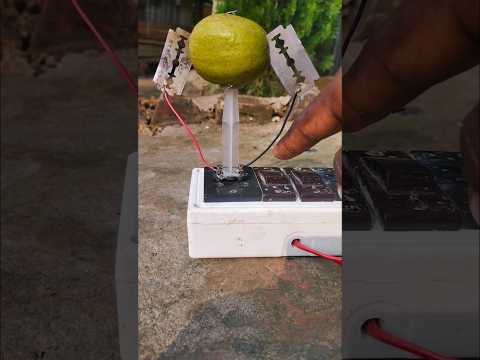 Eletric experiment😶😶😶 with lemon