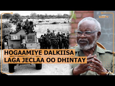 Nadiifiye dalkiisa ka xoreeyay cadaan tiro yaraa oo dhintay