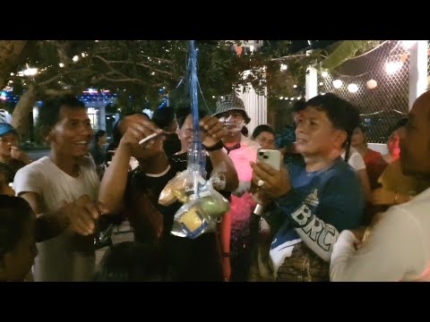 ល្បែងកម្សាន្តឆ្នាំថ្មី - New Year Game.