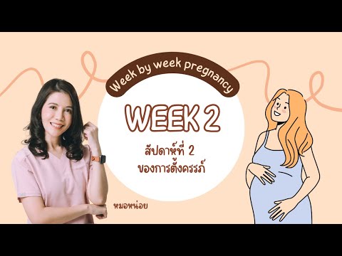 สัปดาห์ที่2ของการตั้งครรภ์:Pregnancyweek2สัปดาห์ที่2ของการตั