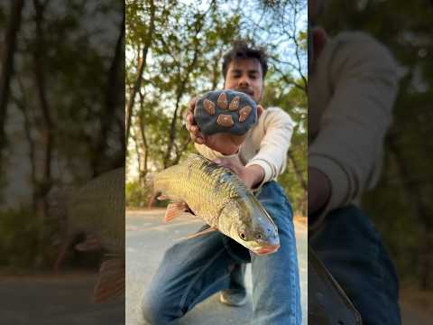 Remote control fish unboxing and testing #rcfish