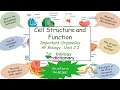 Cellular Functions and Organelles