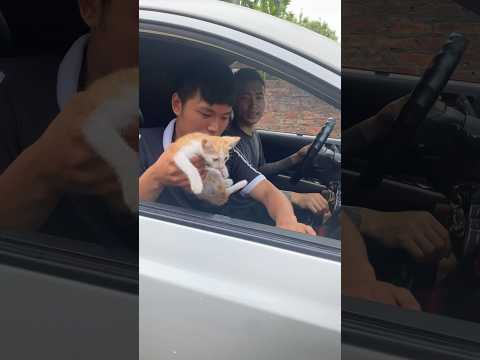Don't leave the kittens ( Đừng bỏ rơi mèo con)! #viral #cats #petsswag #kitten #catshorts #shorts