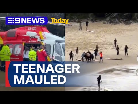 YouTube video thumbnail:  Teenager Mauled by Shark at Popular Holiday Beach in NSW
