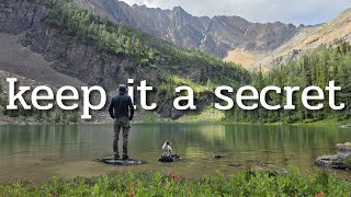 Should this place be kept secret?  Mountain Van Life adventures in BC, Canada