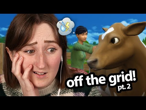 playing the sims & living *completely* off the land