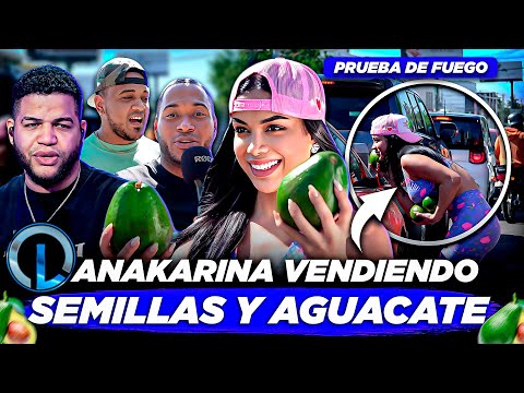 LUINNY PONE PRUEBA A ANAKARINA VENDER AGUACATES EN CALLES DE SANTO DOMINGO ¿CUÁNTOS VENDIÓ?