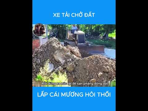 Xe tải trở đất lấp cái mương hôi thối #shorts #short #review
