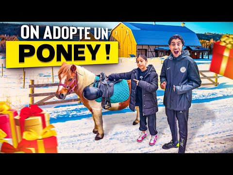 ON ADOPTE UN PONEY POUR MYRIAM 🤩 ( Sa se passe SUPER MAL )