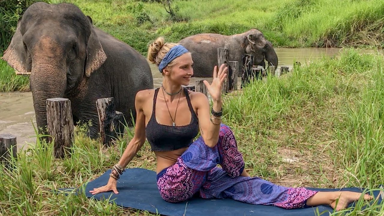 Vinyasa Power Flow Class 20 Minute Yoga Cambodia Wildlife Sanctuary