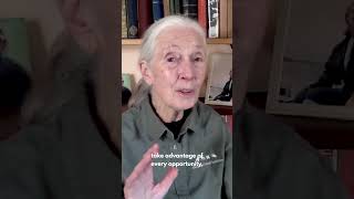 Dr. Jane Goodall shares her best advice: "Don't give up!"
