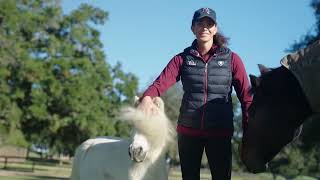 The Open Road | Anna Marek | US Equestrian Open