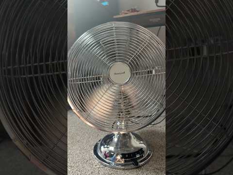 First Day Of Spring Where It’s Warm Enough To Use The Fans 22nd May 2026
