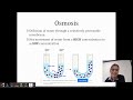 Exploring Passive Transport Mechanisms